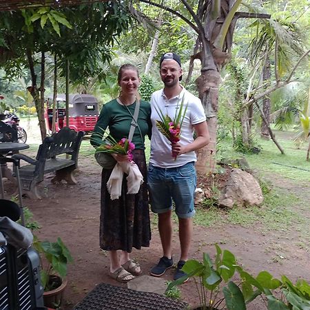 Jungle Eco Lodge & Safari Sigirîya Extérieur photo