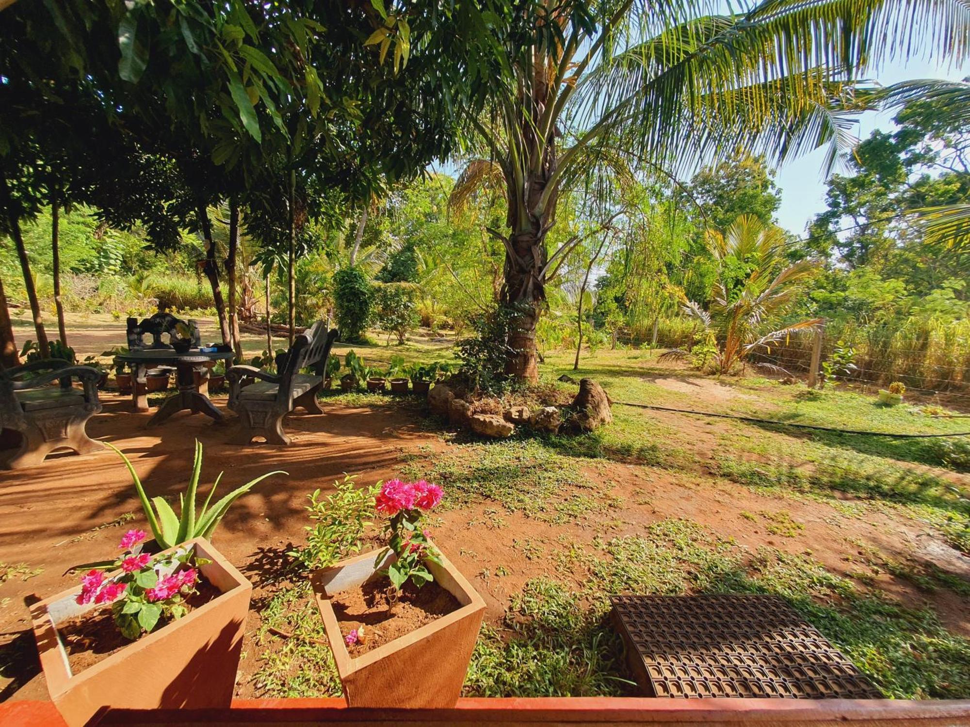 Jungle Eco Lodge & Safari Sigirîya Extérieur photo