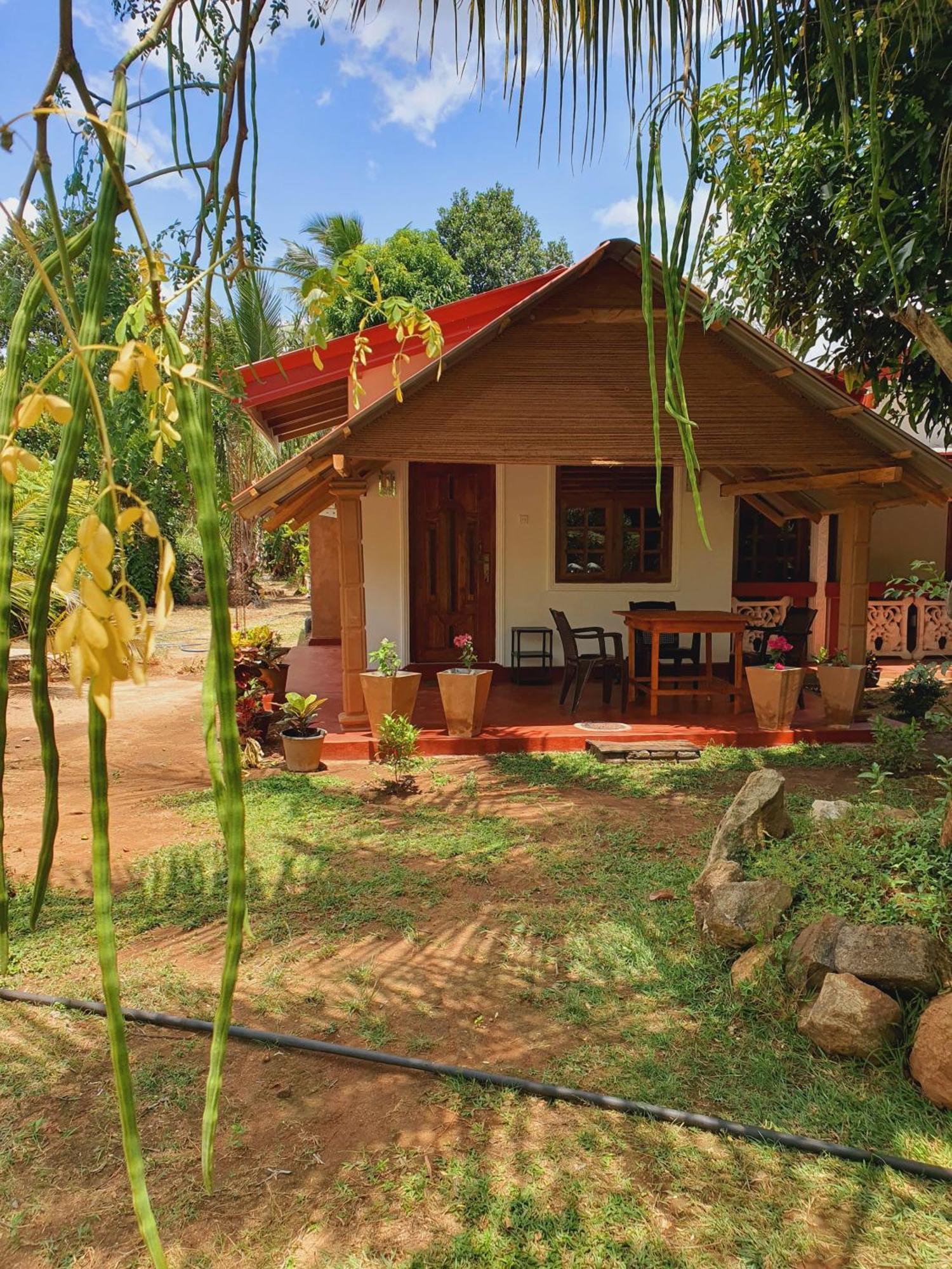 Jungle Eco Lodge & Safari Sigirîya Extérieur photo