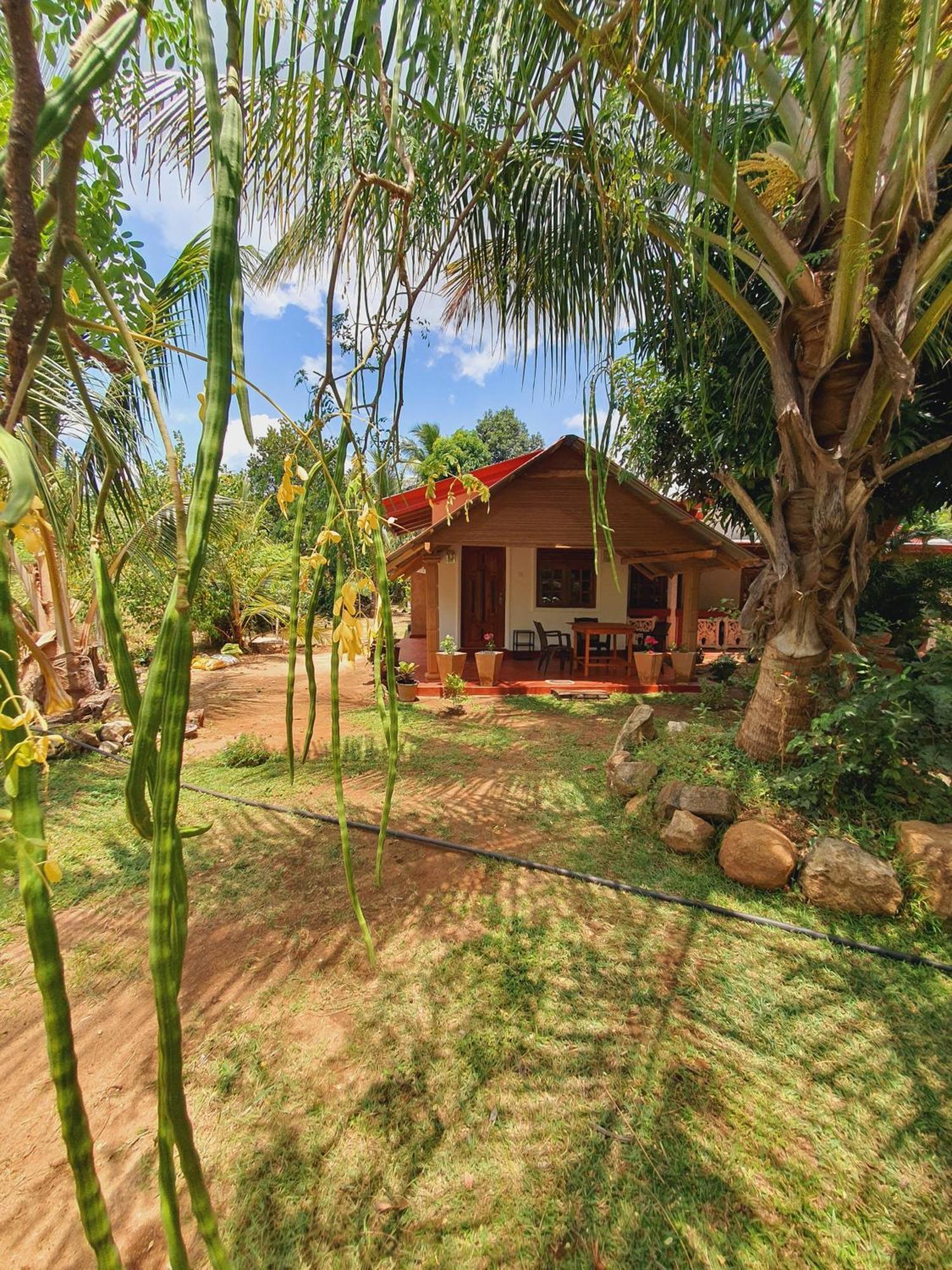 Jungle Eco Lodge & Safari Sigirîya Extérieur photo