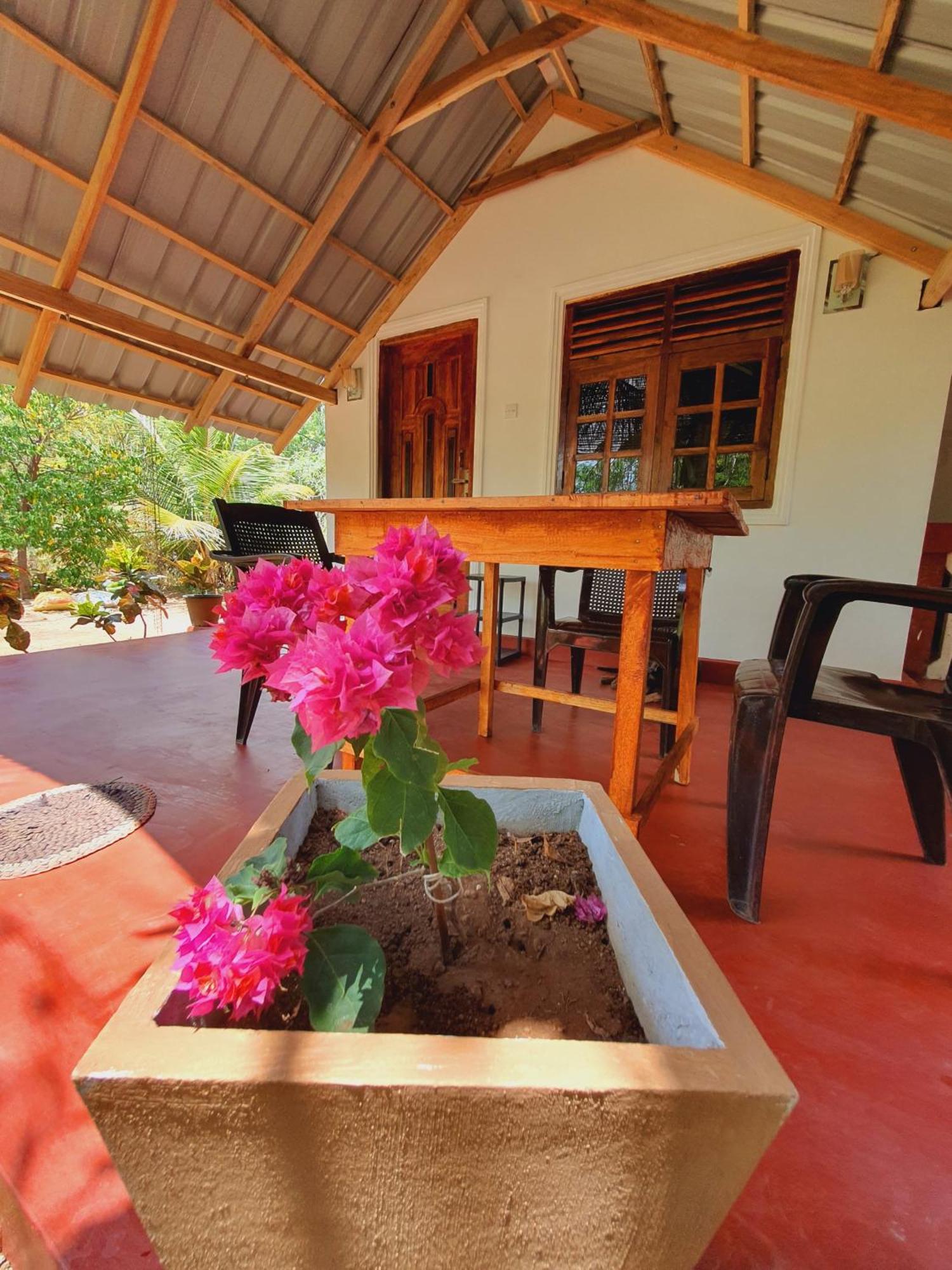 Jungle Eco Lodge & Safari Sigirîya Extérieur photo