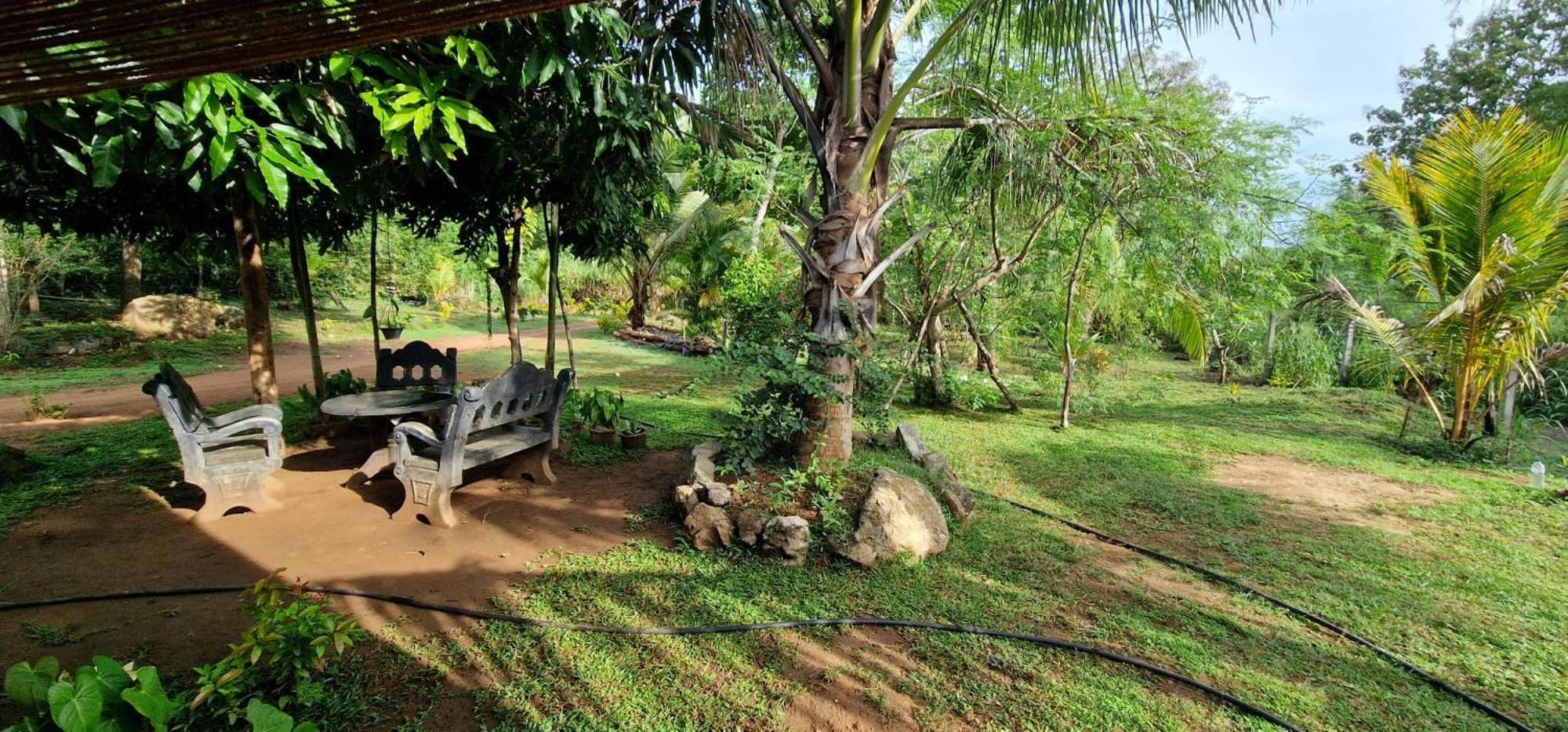 Jungle Eco Lodge & Safari Sigirîya Extérieur photo