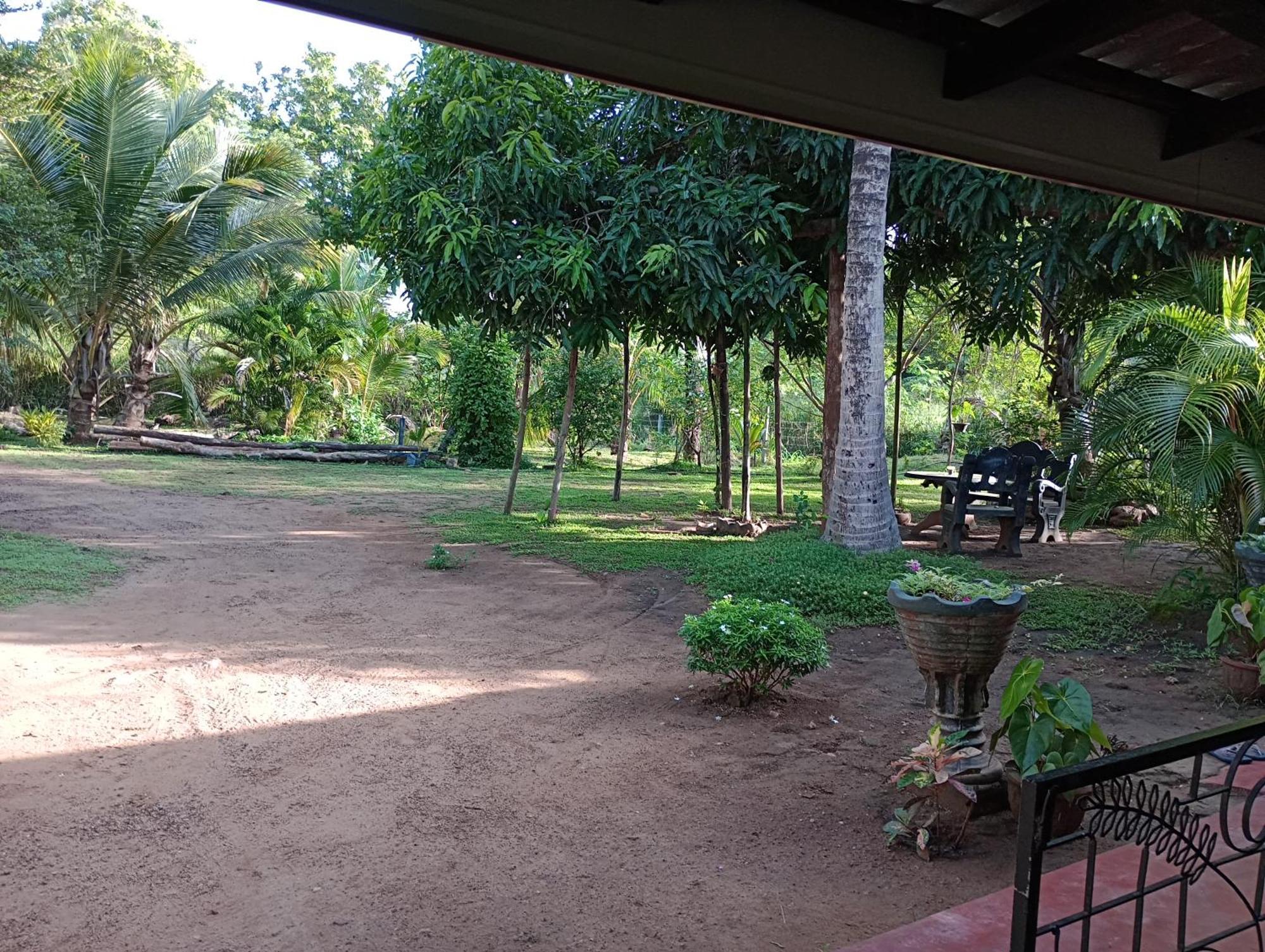 Jungle Eco Lodge & Safari Sigirîya Extérieur photo