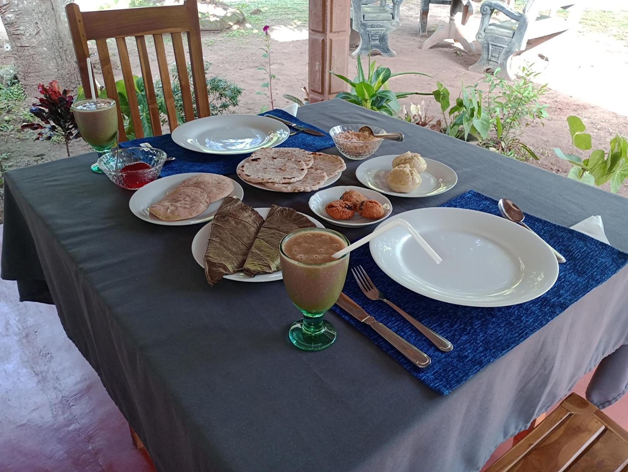 Jungle Eco Lodge & Safari Sigirîya Extérieur photo
