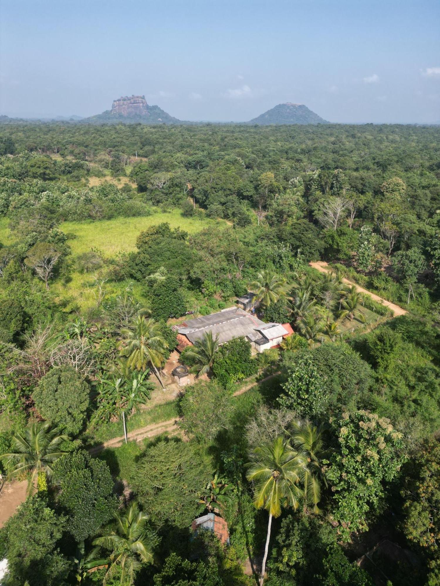 Jungle Eco Lodge & Safari Sigirîya Extérieur photo